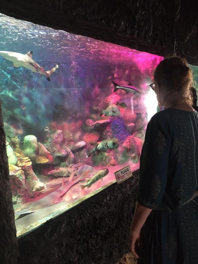 Sweet Pea Homestay バラピティヤ エクステリア 写真